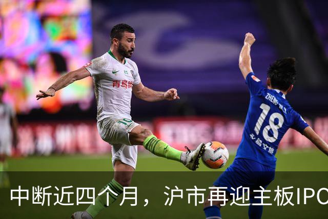 中断近四个月，沪市再迎主板IPO企业上会受审，业绩承压之下，“不差钱”的保伦股份能否闯关成功？