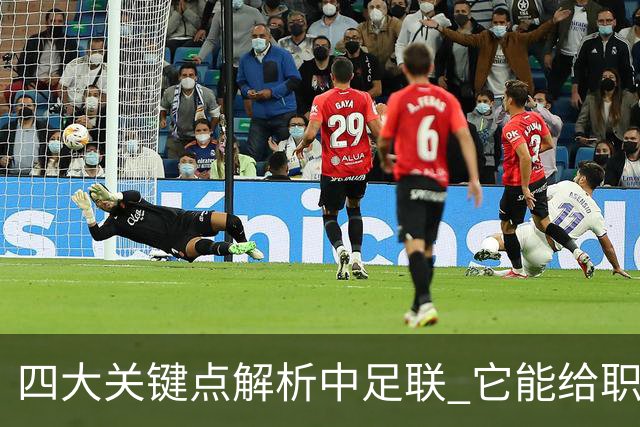 四大关键点解析中足联 它能给职业联赛带来哪些改变?