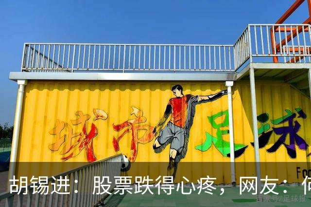 胡锡进：股票跌得心疼，网友：何止心疼，完全是肉疼