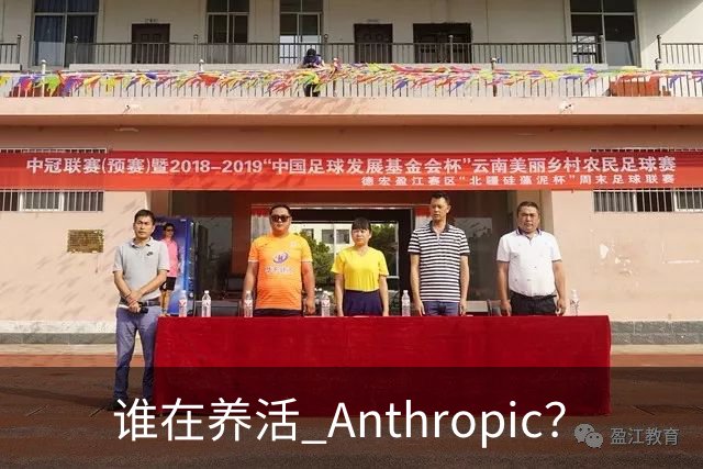 谁在养活 Anthropic？