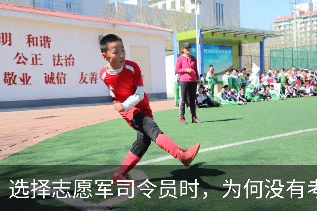 选择志愿军司令员时，为何没有考虑刘伯承？不是不用，是不能用！