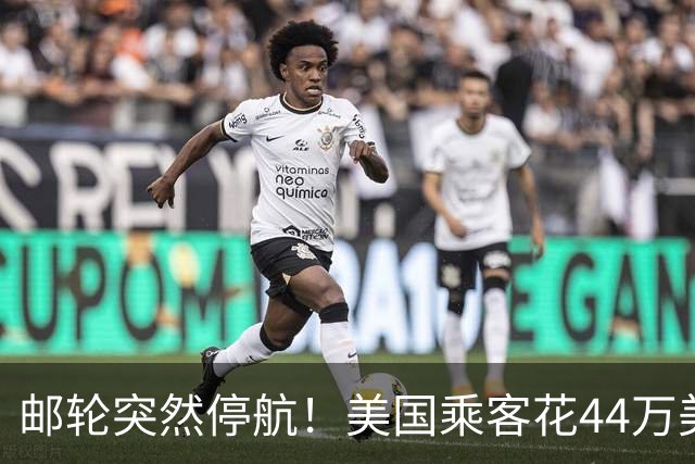 邮轮突然停航！美国乘客花44万美元旅游，只给7小时收拾行李，200多人滞留海外