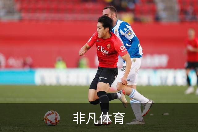非凡体育公司介绍